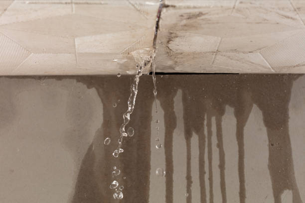 Professional Structural Drying technician working in Nevada, MO